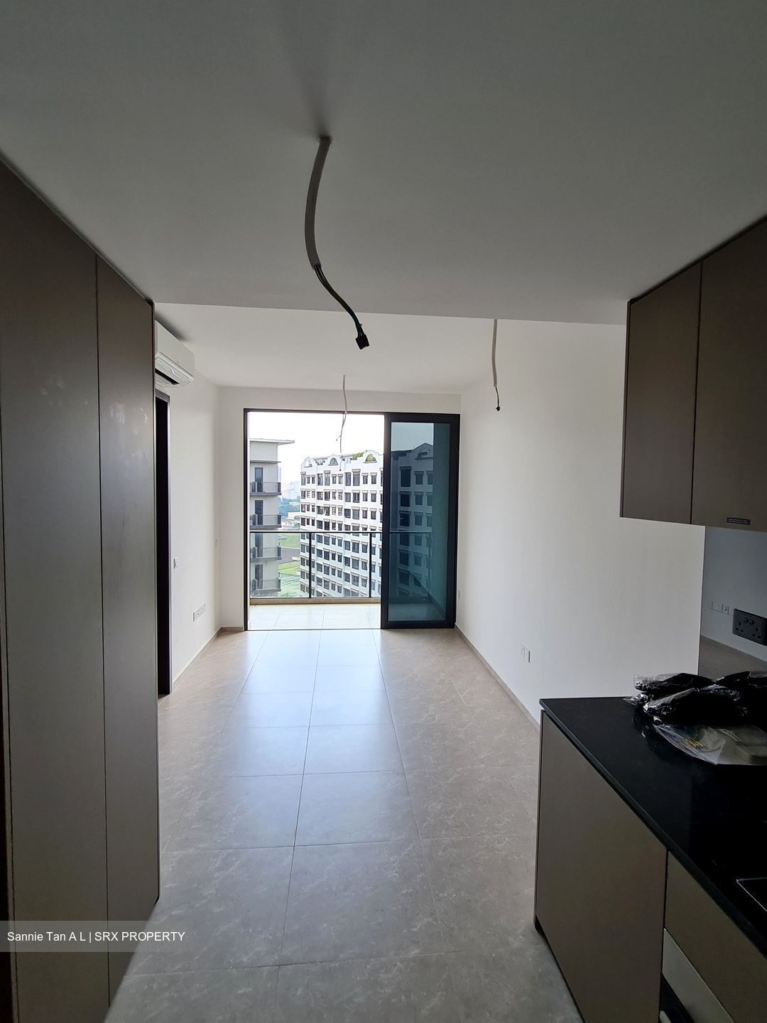 Park Colonial (D13), Condominium #567779151